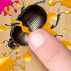 Insect Smasher Free