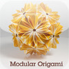 Modular Origami by Meenakshi Mukerji