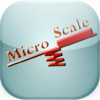 Micro Scale