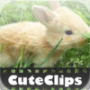 Cute Clips: The Cutest Bunnies
