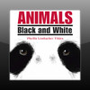 ANIMALS Black And White