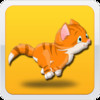 Cool Cat Adventure Race A Kitty Cat Jump Racing Game