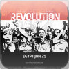 Egypt Revolution 2.0