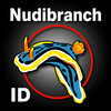 Nudibranch ID EPacific