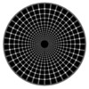 Optic Illusions