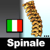 Midollo Spinale Enciclopedia