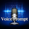 Voice Prompt