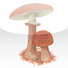 Mushroom Concise Guide