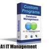 A1 IT Management