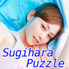 Sugihara Puzzle