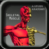 A Study Anatomy Skeletal Muscle SH