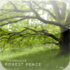 Meditation Music 2 - Forest Peace