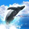 REAL WHALES FREE