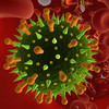 easyLearn Diseases : Infectious & Non-infectious HD