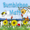 Bumblebee Math