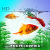HD Fish Encyclopedia