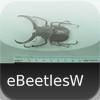 Beetles of the World - eBeetlesW