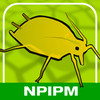NPIPM Soybean Guide