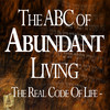 The ABC Of Abundance - Terry Elston