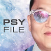 PSY File CHN
