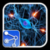 Neuro Net