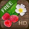 Wild Berries & Herbs HD FREE - NATURE MOBILE