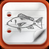Fish Diary