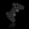 PS2 Console & Games Wiki