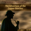 The Adventure of the Copper Beeches [by Arthur Conan Doyle]