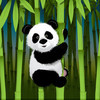 Panda Wallpaper Collections