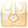 Practical Urology for Gynecologists (iPhone version)