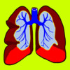 Lungs & Breathing