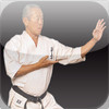 My Kyokushin Life - Shihan Bobby Lowe