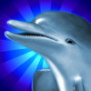 Dolphins Dice Slots for Mac