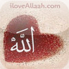 I Love Allaah