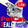 American Shorthair 3DREAL Petting Cat lite