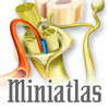 Miniatlas Neuropathic pain