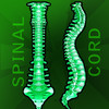 SpinalCord Study