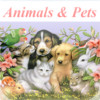 iAnimals And Pets News