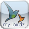My Birdz Network