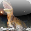 Dinosaurs And Fossils News