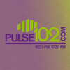 Pulse 102 FM