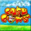 Cash Cows