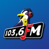Pinguin FM 103.6