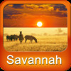 Savannah Tourism Guide