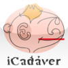 iCadaver
