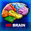 HD Brain