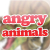 Angry Animals