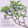 Wild Edible Notebook