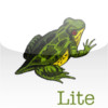 Life Cycles for Kids Lite